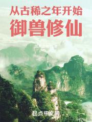 从古稀之年开始御兽修仙 国产发电机