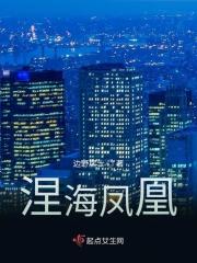 海凤凰价格表