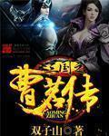 三国之曹家逆子 百度百科