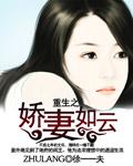 我的极品红颜女主有几个