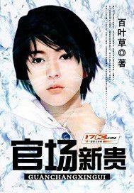 官场新贵无错版