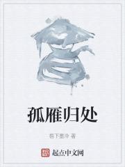 暮雨未停孤雁归