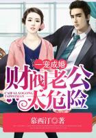 财阀娇妻全文免费版