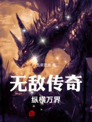 纵横无敌