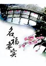 名福妻实免费听