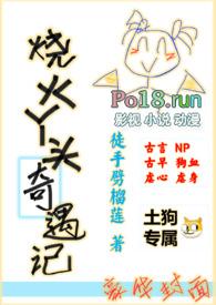 烧火丫鬟修仙记