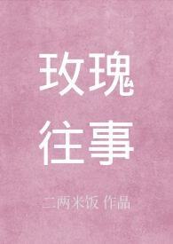 玫瑰往事的近义词