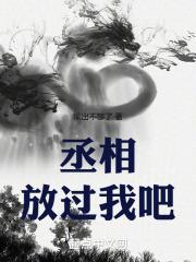 丞相你就放了朕吧龙椅
