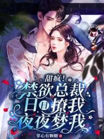 禁欲总裁晚上见
