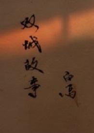 双城故事会