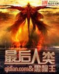 最后人类评价