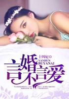 言爱不言婚免费阅读