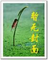 吉品金圣多少钱一包