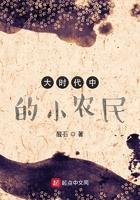 大时代中的小农民醛石