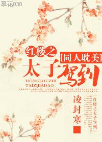 红楼之前太子他爹