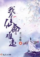 我本上仙