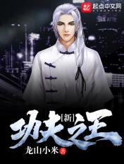 新功夫之王一