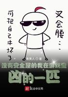 没有安全屋的我在游戏里凶的一匹笔趣