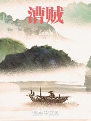 漕贼 手机看书网