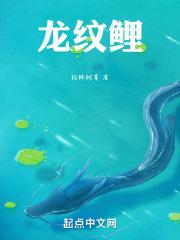 龙纹鲤鱼竿价格表图片
