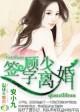 顾先生离婚请签字