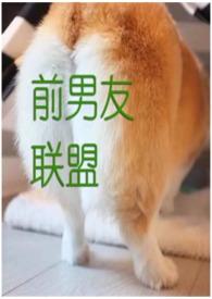 前男友联盟txt