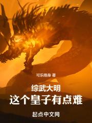 大明综武系统