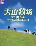 天山牧场奶皮子酸奶