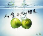 何事秋风悲画扇全文