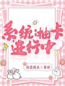 抽卡系统类