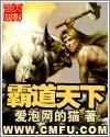 天下霸道之剑 动画片