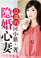 隐婚总裁契约妻电视剧