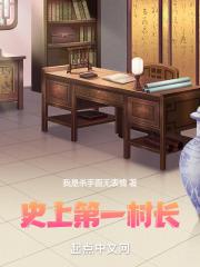 第一乡村书记