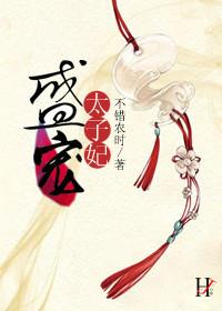 盛宠太子妃全文