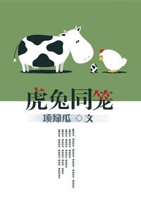 鸡兔同笼的解决问题