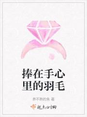 捧在手心里的歌词