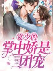 晏少宠妻成瘾