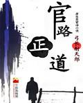 官场正道坦途全文免费阅读