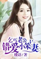 乞丐老公错爱小笨妻在线观看