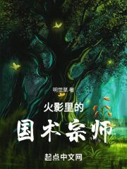 火影忍者体术排名