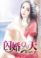 闪婚一百天免费阅读