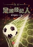 我是足球经纪人类似足球