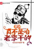 亮剑真不是咱老李干的百度