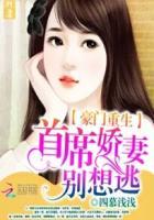 豪门重生首席的独宠妻