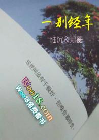 一别经年的意思解释