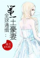 全球通缉逃妻免费阅读