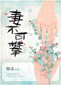 妻不可攀by映漾