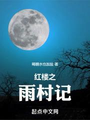 红楼梦雨村为什么被革职