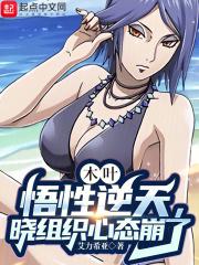 木叶之晓组织