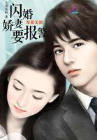 宠妻狂魔 闪婚总裁爱妻如命